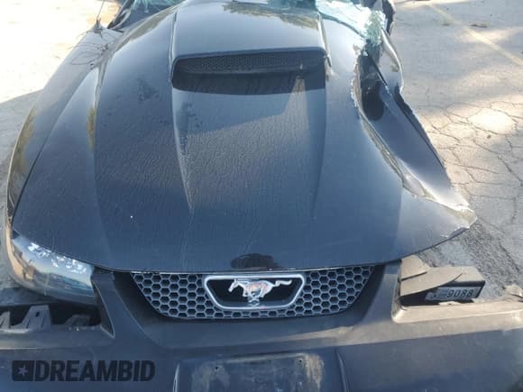 ✅ 2004 Ford Mustang GT Deluxe • VIN: 1FAFP42X94F126647 • Lot: 70920895. Wystawiony na Copart z przebiegiem Nie podano. Bezpłatny archiwum sprzedaży aukcyjnych z USA i szczegółowy raport historii pojazdu na DreamBid. Zdjęcie 11.