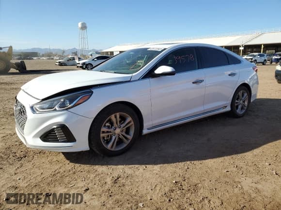 ✅ 2019 Hyundai Sonata SEL • VIN: 5NPE34AF2KH820755 • Lot: 42472343. Listed on Copart with 39,578 mi. Free auction sales archive from the USA and detailed vehicle history report at DreamBid. Image 1.