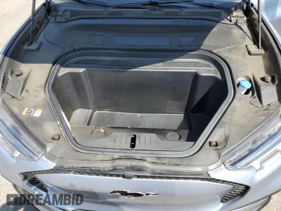 ✅ 2022 Ford Mustang Mach-E California Route 1 • VIN: 3FMTK2R74NMA20061 • Lot: 65217493. Listed on Copart with 16,252 mi. Free auction sales archive from the USA and detailed vehicle history report at DreamBid. Image 11.