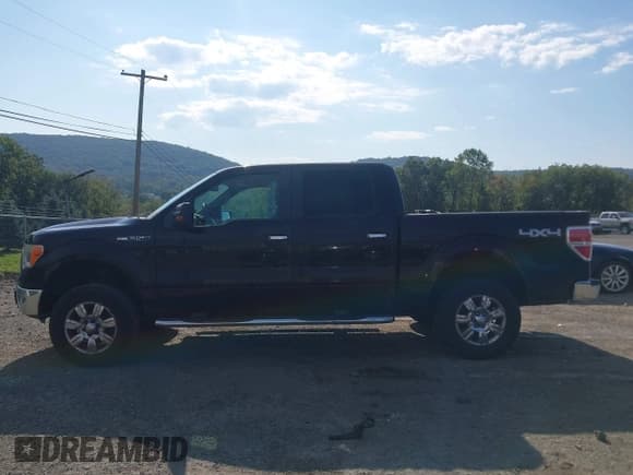 ✅ 2009 Ford F-150 XL • VIN: 1FTRW14899FB19462 • Lot: 43173510. Listed on IAAI with 195,631 mi. Free auction sales archive from the USA and detailed vehicle history report at DreamBid. Image 14.