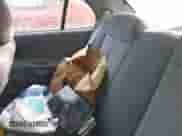 2005 Hyundai Accent GLS with VIN KMHCG45C65U607423, listed as a IAAI auction lot 42142929 with 181,516 mi miles and . Bid and sale history available at DreamBid. Image 8.