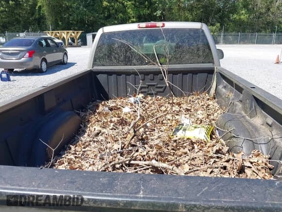 2002 Chevrolet Silverado 1500 LS with VIN 1GCEK14T52Z230125, listed as a IAAI auction lot 43144958 with 143,167 mi miles and . Bid and sale history available at DreamBid. Image 8.