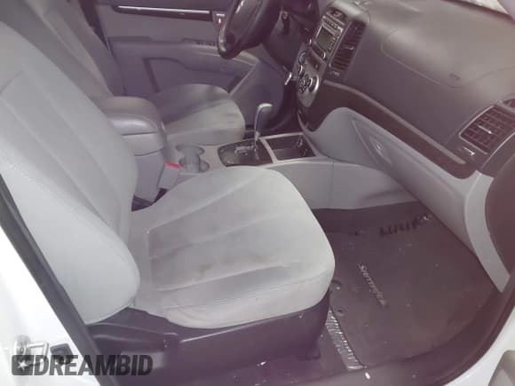 ✅ 2009 Hyundai Santa Fe Limited • VIN: 5NMSH73E19H241287 • Lot: 43895672. Listed on IAAI with 169,199 mi. Free auction sales archive from the USA and detailed vehicle history report at DreamBid. Image 5.