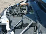 ✅ 2017 Ford Focus SE • VIN: 1FADP3F25HL304819 • Lot: 42197817. Listed on IAAI with 41,999 mi. Free auction sales archive from the USA and detailed vehicle history report at DreamBid. Image 19.