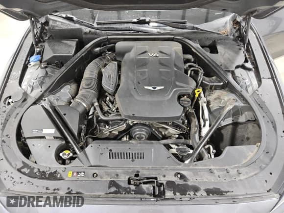 ✅ 2017 Genesis G80 3.8L • VIN: KMHGN4JE1HU171938 • Lot: 80463405. Listed on Copart with 96,160 mi. Free auction sales archive from the USA and detailed vehicle history report at DreamBid. Image 11.