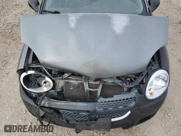 2005 Dodge Neon SXT с VIN 1B3ES56CX5D137320, выставлен на аукционе Copart как лот 85142474 с пробегом Не указан миль и Списание • Salvage title. История ставок и продаж доступна на DreamBid. Изображение 11.