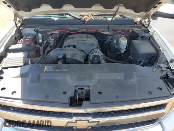 ✅ 2008 Chevrolet Silverado 1500 2LT • VIN: 1GCEC19J98Z295928 • Lot: 71609814. Wystawiony na Copart z przebiegiem 244 062 mil. Bezpłatny archiwum sprzedaży aukcyjnych z USA i szczegółowy raport historii pojazdu na DreamBid. Zdjęcie 11.