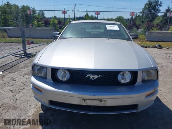 ✅ 2006 Ford Mustang GT Deluxe • VIN: 1ZVHT82H065175045 • Lot: 42446022. Listed on IAAI with 144,165 mi. Free auction sales archive from the USA and detailed vehicle history report at DreamBid. Image 12.