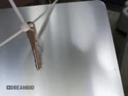 ✅ 2006 Chevrolet Suburban LS 1WT • VIN: 1GNEC16Z36J142250 • Lot: 43293351. Listed on IAAI with 168,464 mi. Free auction sales archive from the USA and detailed vehicle history report at DreamBid. Image 11.