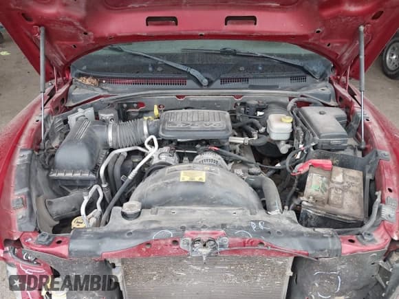 ✅ 2010 Dodge Dakota Bighorn/Lonestar • VIN: 1D7CW3GK9AS194611 • Lot: 43441983. Wystawiony na IAAI z przebiegiem 99 300 mil. Bezpłatny archiwum sprzedaży aukcyjnych z USA i szczegółowy raport historii pojazdu na DreamBid. Zdjęcie 10.