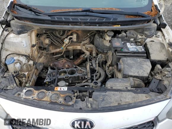 ✅ 2015 Kia Forte LX • VIN: KNAFX4A68F5258906 • Lot: 92256775. Wystawiony na Copart z przebiegiem 225 494 mil. Bezpłatny archiwum sprzedaży aukcyjnych z USA i szczegółowy raport historii pojazdu na DreamBid. Zdjęcie 11.