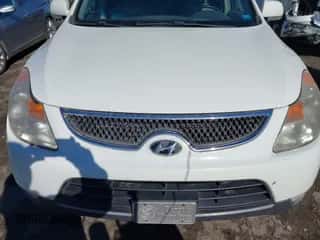 2007 Hyundai Veracruz GLS z VIN KM8NU13C97U011552, wystawiony jako IAAI lot #41446336 z przebiegiem 324 982 mil mil oraz . Historia ofert i sprzedaży dostępna na DreamBid. Obrazek 6.