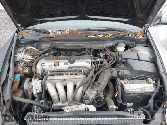 ✅ 2004 Honda Accord EX • VIN: 1HGCM56654A009210 • Lot: 43661529. Wystawiony na IAAI z przebiegiem 132 755 mil. Bezpłatny archiwum sprzedaży aukcyjnych z USA i szczegółowy raport historii pojazdu na DreamBid. Zdjęcie 9.