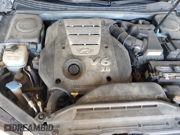 ✅ 2008 Hyundai Azera Limited • VIN: KMHFC46F18A252989 • Lot: 85745945. Listed on Copart with 184,077 mi. Free auction sales archive from the USA and detailed vehicle history report at DreamBid. Image 11.