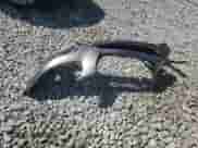 ✅ 2012 Hyundai Santa Fe SE • VIN: 5XYZHDAG1CG110640 • Lot: 70302985. Listed on Copart with 187,049 mi miles. Access the free auction sales archive from the USA and view a detailed vehicle history report at DreamBid. Image 13.