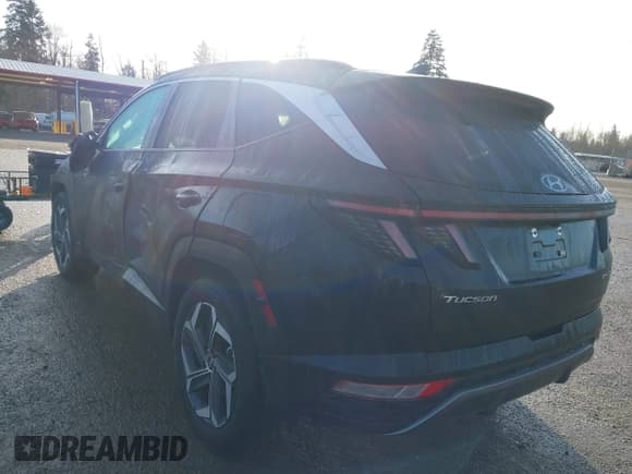 ✅ 2023 Hyundai Tucson Limited • VIN: KM8JFDA21PU133987 • Lot: 41712799. Wystawiony na IAAI z przebiegiem 9 303 mil. Bezpłatny archiwum sprzedaży aukcyjnych z USA i szczegółowy raport historii pojazdu na DreamBid. Zdjęcie 3.