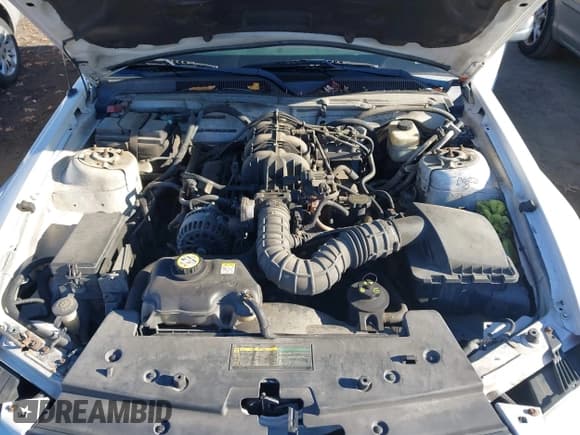 ✅ 2007 Ford Mustang Deluxe • VIN: 1ZVFT80N475351354 • Lot: 43556903. Wystawiony na IAAI z przebiegiem 250 306 mil. Bezpłatny archiwum sprzedaży aukcyjnych z USA i szczegółowy raport historii pojazdu na DreamBid. Zdjęcie 10.