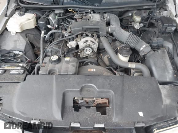 ✅ 2002 Lincoln Town Car Executive • VIN: 1LNHM81W42Y608998 • Лот: 43122644. Опубликован ранее на IAAI с пробегом 222 672 миль. Бесплатный доступ к архиву аукционных продаж из США и подробный отчёт об истории автомобиля на DreamBid. Изображение 10.