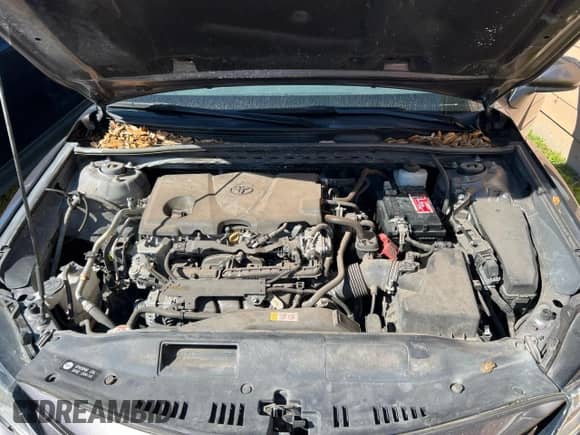 2022 Toyota Camry LE с VIN 4T1C11AK8NU643627, выставлен на аукционе Copart как лот 91349545 с пробегом 176 754 миль миль и Чистый • Clean title. История ставок и продаж доступна на DreamBid. Изображение 7.