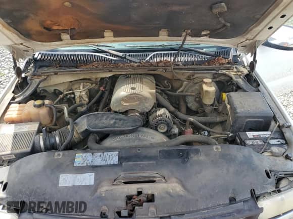 2002 Chevrolet Silverado 1500 with VIN 1GCEC19T92E105982, listed as a Copart auction lot 68452954 with Not provided miles and Salvage title. Bid and sale history available at DreamBid. Image 11.