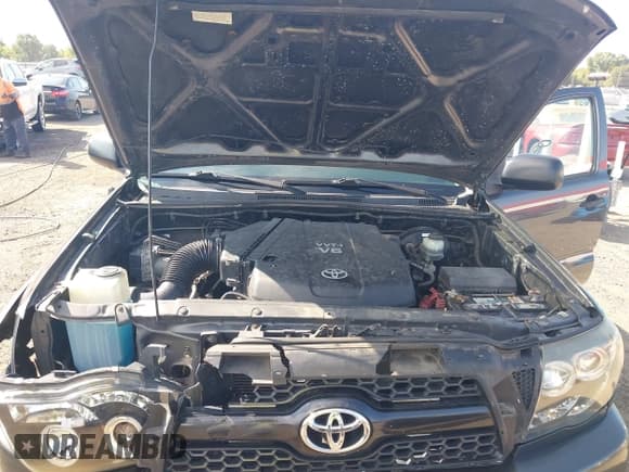 ✅ 2011 Toyota Tacoma PreRunner • VIN: 3TMJU4GN0BM110452 • Lot: 43183116. Listed on IAAI with 233,826 mi. Free auction sales archive from the USA and detailed vehicle history report at DreamBid. Image 10.