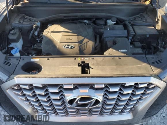 ✅ 2022 Hyundai Palisade SEL • VIN: KM8R44HE9NU396184 • Лот: 76345484. Опубликован ранее на Copart с пробегом 50 260 миль. Бесплатный доступ к архиву аукционных продаж из США и подробный отчёт об истории автомобиля на DreamBid. Изображение 12.