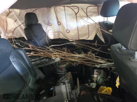 2020 Chevrolet Tahoe Premier with VIN 1GNSKCKC2LR127433, listed as a Copart auction lot 43428705 with Not provided miles and Salvage title. Bid and sale history available at DreamBid. Image 11.