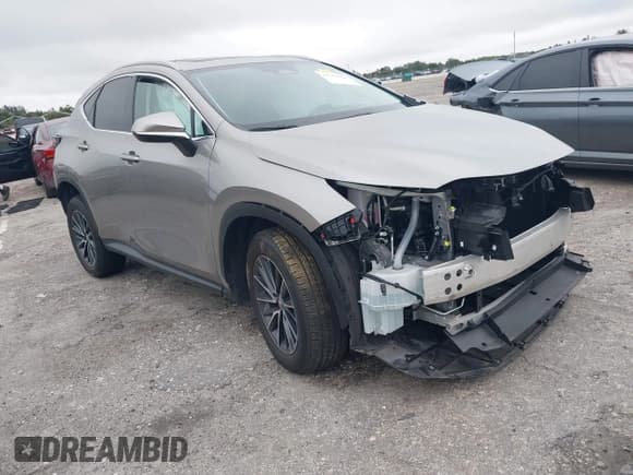 ✅ 2024 Lexus NX 250 • VIN: 2T2ADCAZ2RC014553 • Лот: 41383564. Опубликован ранее на IAAI с пробегом 8 403 миль. Бесплатный доступ к архиву аукционных продаж из США и подробный отчёт об истории автомобиля на DreamBid. Изображение 1.