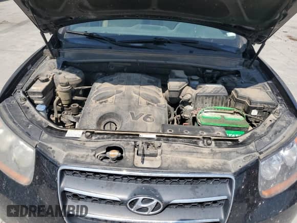 ✅ 2008 Hyundai Santa Fe SE • VIN: 5NMSH13E58H165259 • Лот: 69480544. Размещён на Copart с пробегом 253 953 миль миль. Получите бесплатный доступ к архиву аукционных продаж из США и посмотрите подробный отчёт об истории автомобиля на DreamBid. Изображение 12.