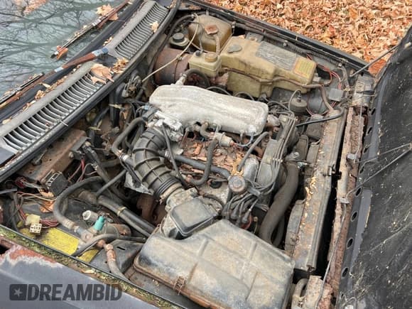 ✅ 1982 Alfa Romeo GTV • VIN: ZARAA669XC1002367 • Lot: 90809585. Wystawiony na Copart z przebiegiem 54 249 mil. Bezpłatny archiwum sprzedaży aukcyjnych z USA i szczegółowy raport historii pojazdu na DreamBid. Zdjęcie 7.