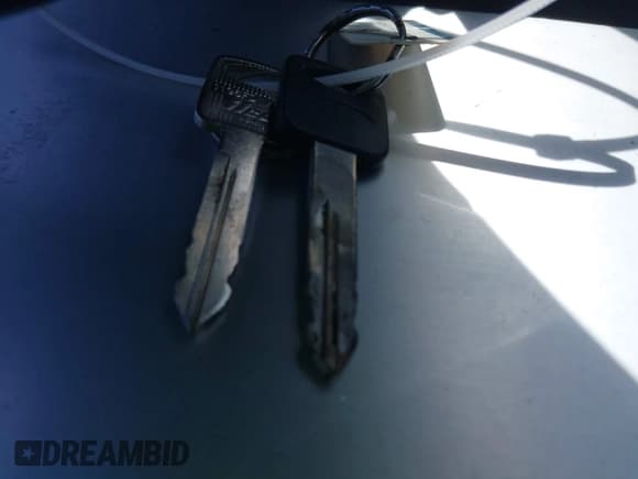 ✅ 2003 Ford F-250 XL • VIN: 1FTNX20L93ED80955 • Lot: 42160315. Listed on IAAI with 311,244 mi. Free auction sales archive from the USA and detailed vehicle history report at DreamBid. Image 11.