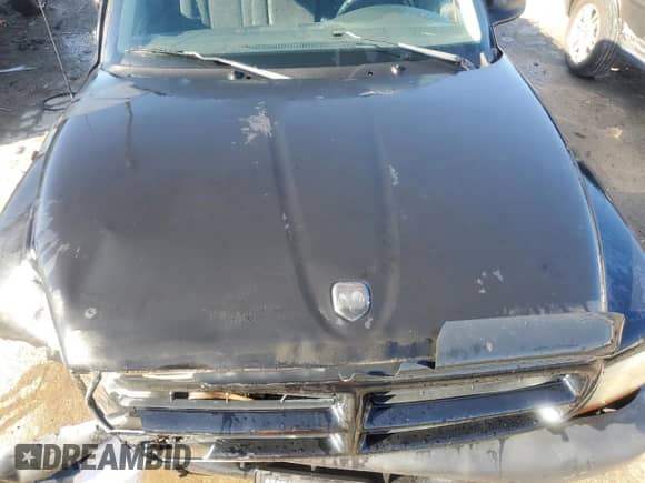 2002 Dodge Dakota Sport z VIN 1B7FL36XX2S643163, wystawiony jako Copart lot #80643184 z przebiegiem 230 990 mil mil oraz Nie do naprawy • Non repairable. Historia ofert i sprzedaży dostępna na DreamBid. Obrazek 11.