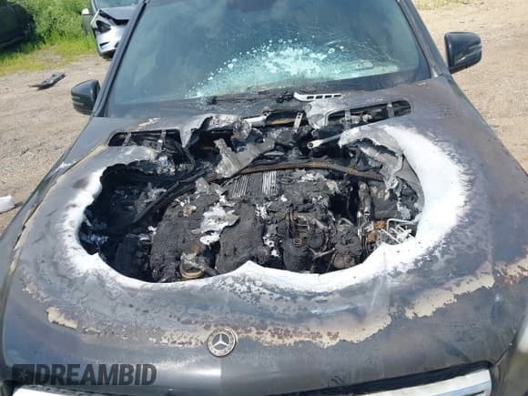 ✅ 2019 Mercedes-Benz GLS 450 • VIN: 4JGDF6EE0KB233497 • Lot: 42802007. Listed on IAAI with Not provided. Free auction sales archive from the USA and detailed vehicle history report at DreamBid. Image 6.