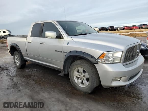 ✅ 2010 Dodge 1500 Laramie • VIN: 1D7RV1GT0AS174032 • Lot: 88287785. Wystawiony na Copart z przebiegiem 315 160 mil. Bezpłatny archiwum sprzedaży aukcyjnych z USA i szczegółowy raport historii pojazdu na DreamBid. Zdjęcie 4.