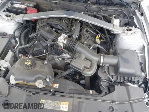 ✅ 2011 Ford Mustang V6 • VIN: 1ZVBP8EM7B5120539 • Лот: 42502299. Опубликован ранее на IAAI с пробегом 135 662 миль. Бесплатный доступ к архиву аукционных продаж из США и подробный отчёт об истории автомобиля на DreamBid. Изображение 10.