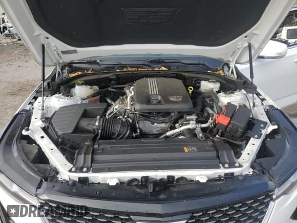 ✅ 2023 Cadillac CT4 Luxury • VIN: 1G6DK5RK8P0135043 • Lot: 70901695. Wystawiony na Copart z przebiegiem 22 378 mil. Bezpłatny archiwum sprzedaży aukcyjnych z USA i szczegółowy raport historii pojazdu na DreamBid. Zdjęcie 11.