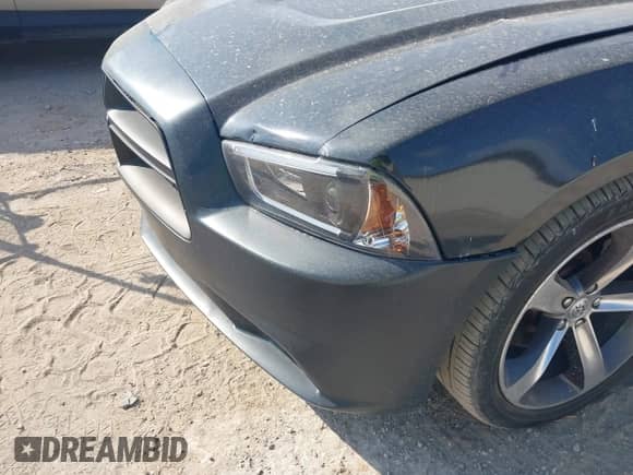 ✅ 2014 Dodge Charger RT • VIN: 2C3CDXCT7EH308290 • Lot: 42962583. Listed on IAAI with 117,378 mi. Free auction sales archive from the USA and detailed vehicle history report at DreamBid. Image 6.