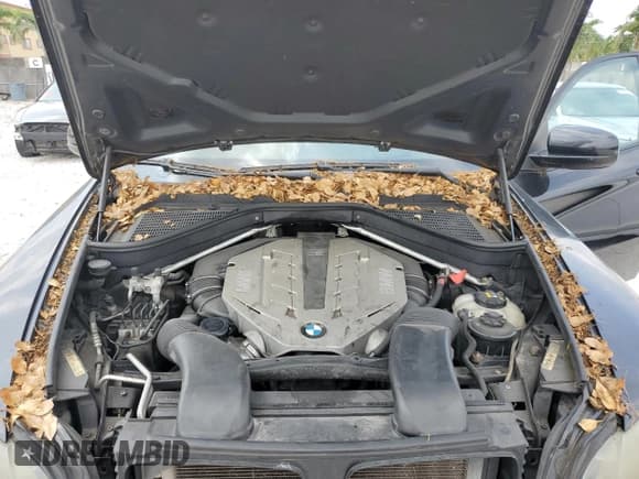 ✅ 2009 BMW X6 • VIN: 5UXFG83539LZ92382 • Lot: 59279035. Wystawiony na Copart z przebiegiem 117 862 mil. Bezpłatny archiwum sprzedaży aukcyjnych z USA i szczegółowy raport historii pojazdu na DreamBid. Zdjęcie 11.