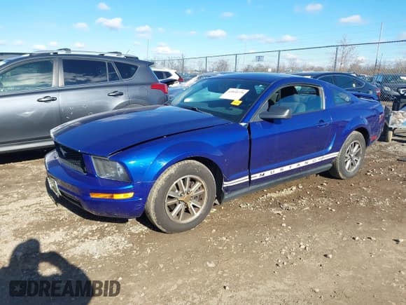 ✅ 2005 Ford Mustang Deluxe • VIN: 1ZVFT80N455145187 • Лот: 43810779. Опубликован ранее на IAAI с пробегом 157 263 миль. Бесплатный доступ к архиву аукционных продаж из США и подробный отчёт об истории автомобиля на DreamBid. Изображение 2.