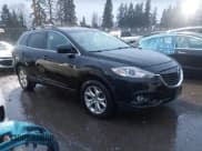 ✅ 2015 Mazda CX-9 Touring • VIN: JM3TB3CV6F0450123 • Лот: 43842836. Опубликован ранее на IAAI с пробегом 198 474 миль. Бесплатный доступ к архиву аукционных продаж из США и подробный отчёт об истории автомобиля на DreamBid. Изображение 1.