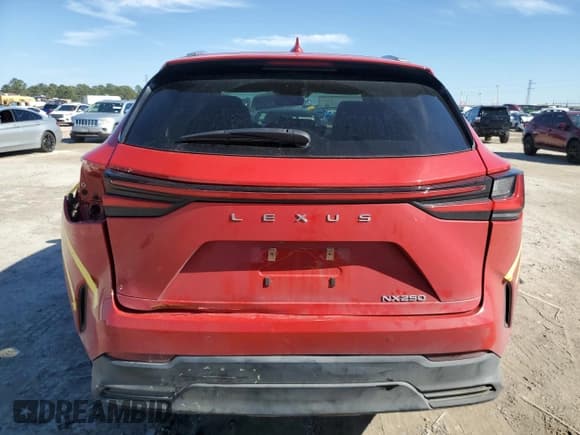 ✅ 2024 Lexus NX 250 Premium • VIN: 2T2GDCAZ6RC007597 • Lot: 42354975. Listed on Copart with 71,863 mi. Free auction sales archive from the USA and detailed vehicle history report at DreamBid. Image 6.