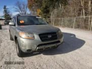 ✅ 2008 Hyundai Santa Fe GLS • VIN: 5NMSG13D18H218582 • Lot: 76955374. Listed on Copart with 163,987 mi. Free auction sales archive from the USA and detailed vehicle history report at DreamBid. Image 11.