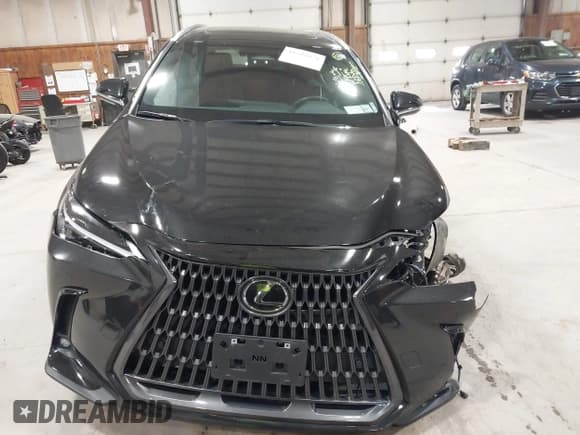 ✅ 2024 Lexus NX 350 Premium • VIN: 2T2GGCEZ1RC051752 • Lot: 43592978. Listed on IAAI with 44,145 mi. Free auction sales archive from the USA and detailed vehicle history report at DreamBid. Image 12.
