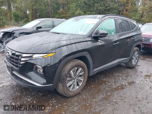 ✅ 2024 Hyundai Tucson Blue • VIN: KM8JBCD11RU223152 • Lot: 43410981. Listed on IAAI with 11,964 mi. Free auction sales archive from the USA and detailed vehicle history report at DreamBid. Image 2.