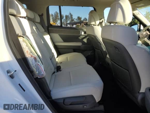 2024 Hyundai Santa Fe Limited с VIN 5NMP44GL9RH040004, выставлен на аукционе Copart как лот 87763965 с пробегом 2 552 миль миль и Списание • Salvage title. История ставок и продаж доступна на DreamBid. Изображение 11.