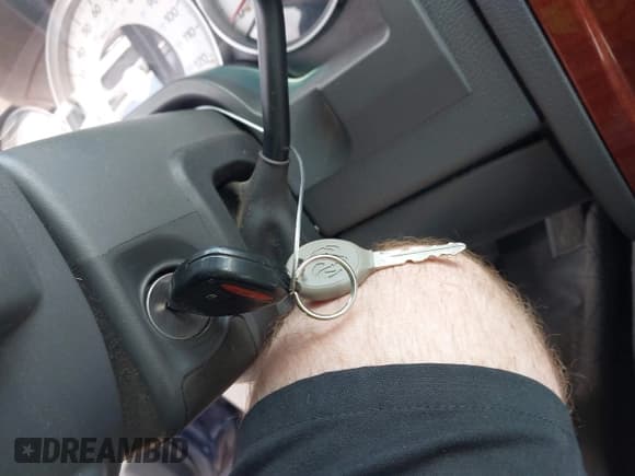 ✅ 2005 Dodge Dakota SLT • VIN: 1D7HW42N35S166791 • Lot: 42906810. Listed on IAAI with 134,232 mi. Free auction sales archive from the USA and detailed vehicle history report at DreamBid. Image 11.