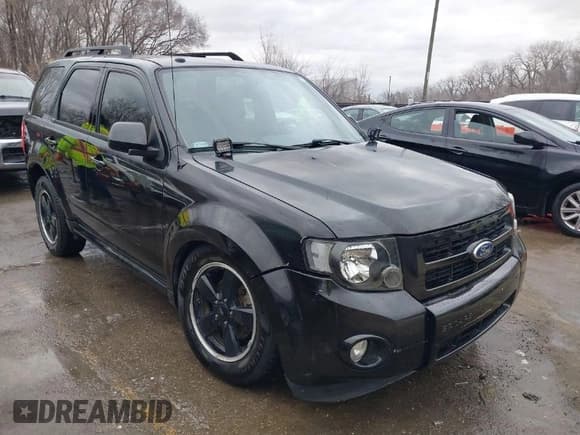 ✅ 2011 Ford Escape XLT • VIN: 1FMCU9DG7BKB03271 • Лот: 41711731. Опубликован ранее на IAAI с пробегом 139 135 миль. Бесплатный доступ к архиву аукционных продаж из США и подробный отчёт об истории автомобиля на DreamBid. Изображение 1.