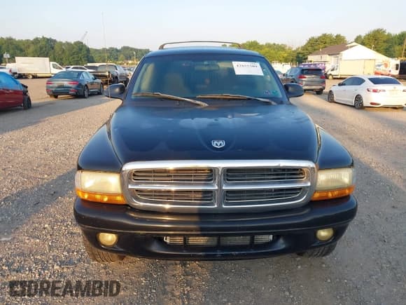 ✅ 2002 Dodge Durango SLT • VIN: 1B4HS48N02F217212 • Lot: 42855309. Listed on IAAI with 161,209 mi. Free auction sales archive from the USA and detailed vehicle history report at DreamBid. Image 12.