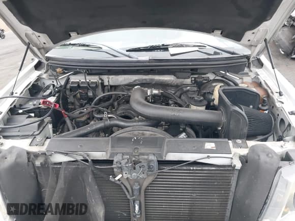 ✅ 2008 Ford F-150 XLT • VIN: 1FTPW12598FA40565 • Lot: 42323762. Listed on IAAI with 77,900 mi. Free auction sales archive from the USA and detailed vehicle history report at DreamBid. Image 10.