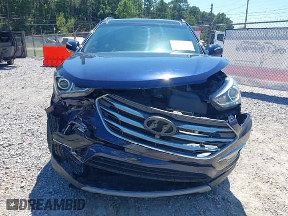 2017 Hyundai Santa Fe 2.4L z VIN 5XYZU3LB6HG422242, wystawiony jako IAAI lot #43122154 z przebiegiem 80 122 mil mil oraz . Historia ofert i sprzedaży dostępna na DreamBid. Obrazek 13.